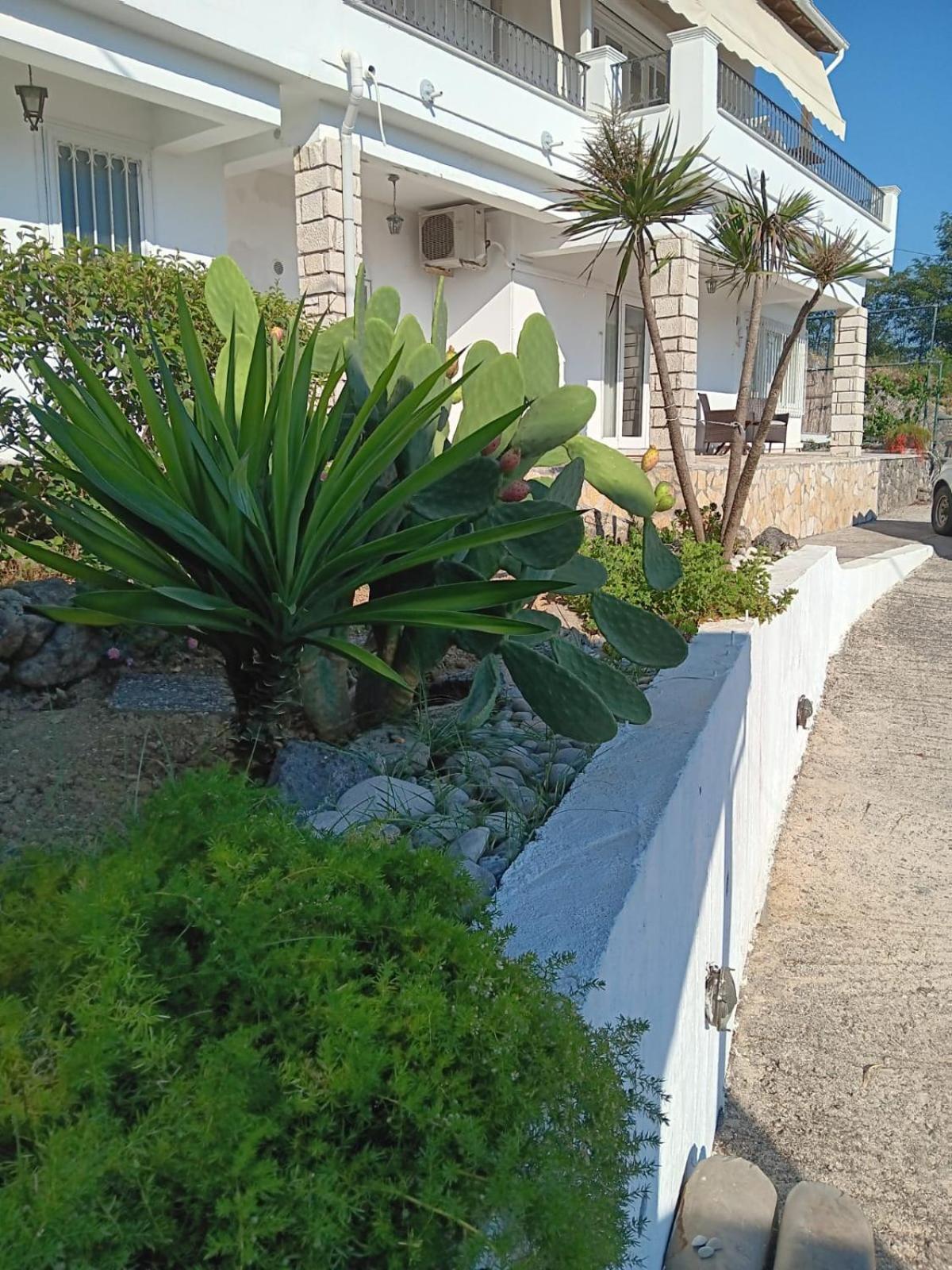 Appartement Bougainvillea Corfu  Exteriér fotografie