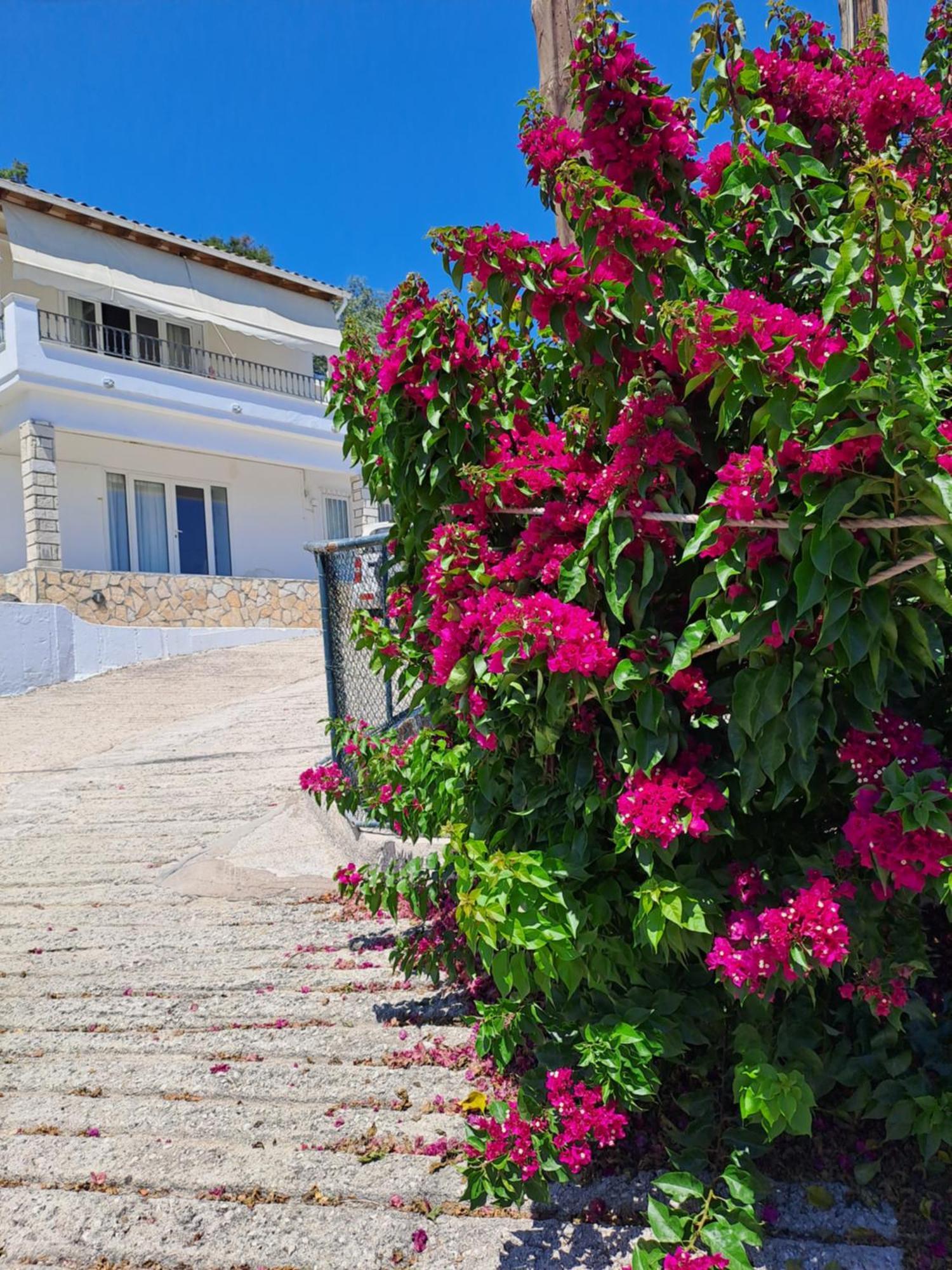 Appartement Bougainvillea Corfu  Exteriér fotografie