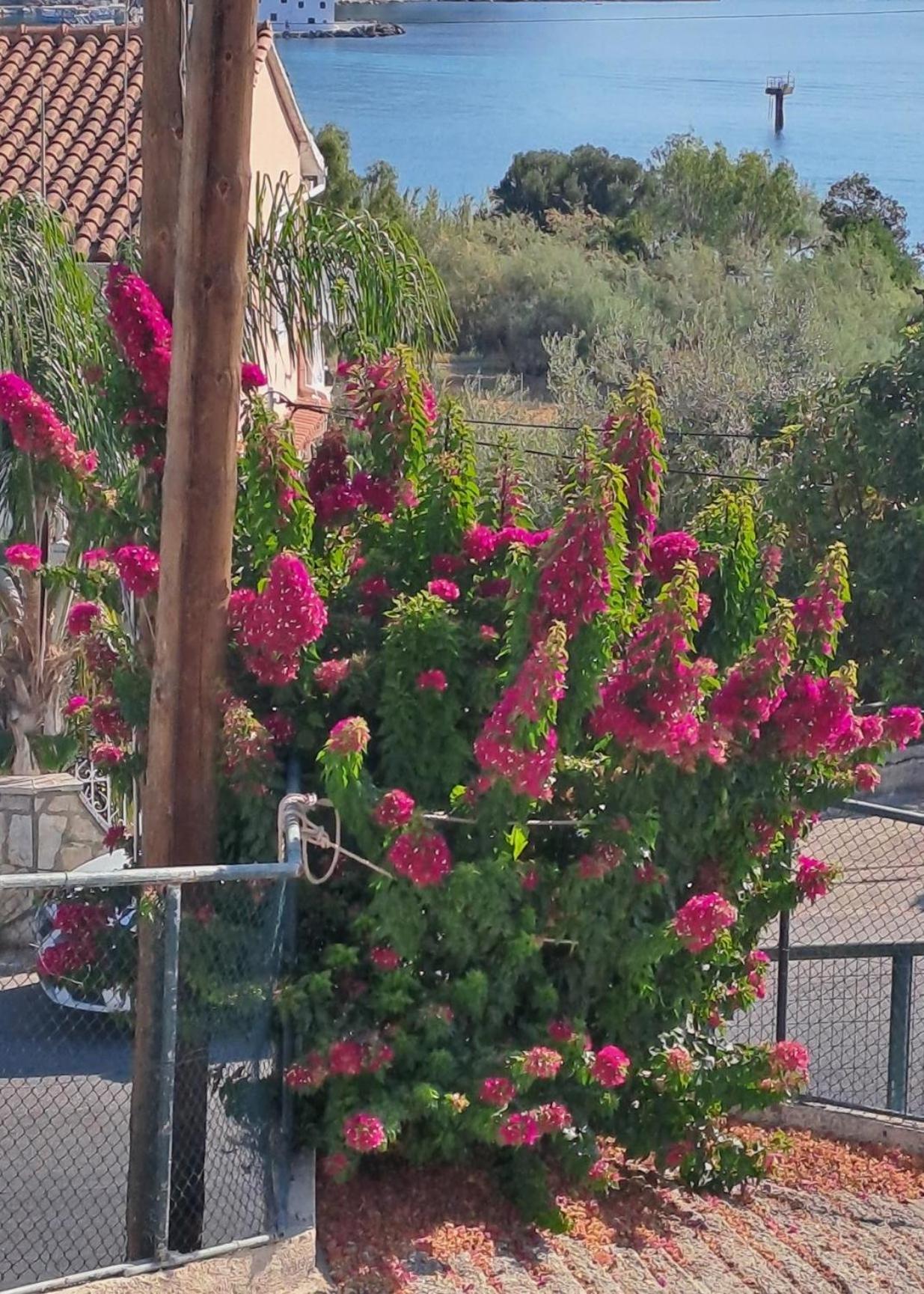 Appartement Bougainvillea Corfu  Exteriér fotografie